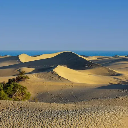 Апартаменты Soundproof With Sea View In Maspalomas Плайя-дель-Инглес